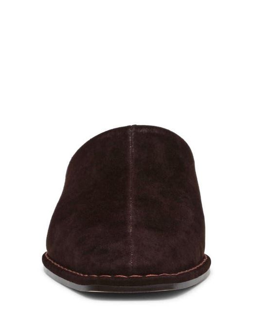 Steve Madden Brown Dessa Mule