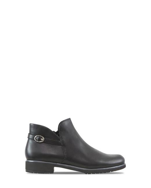 Munro Gray Brenna Bootie