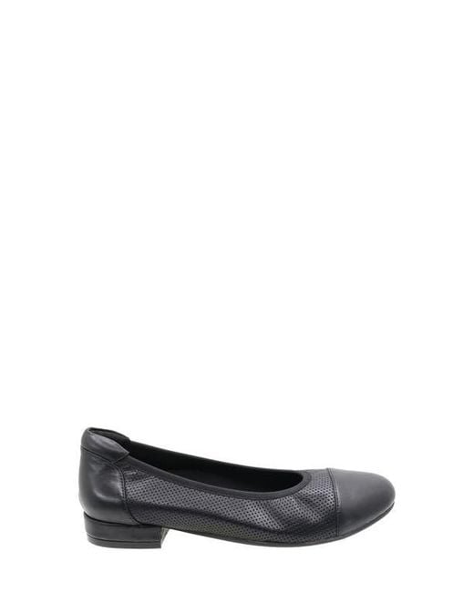 David Tate Black Newton Cap Toe Flat