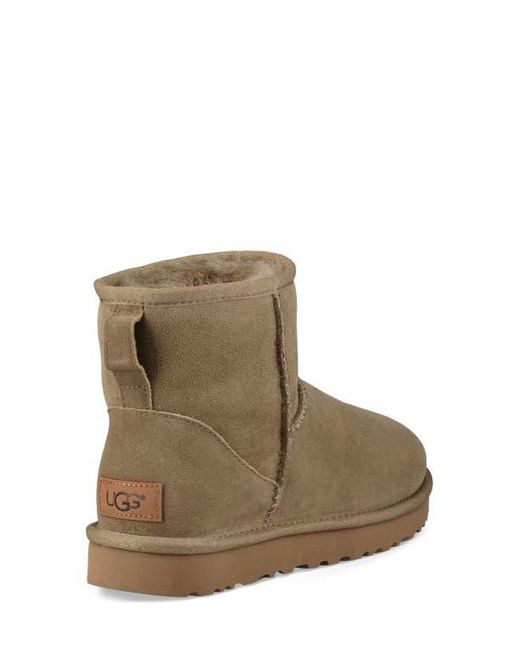 Ugg Brown Ugg Classic Mini Ii Genuine Shearling Lined Boot