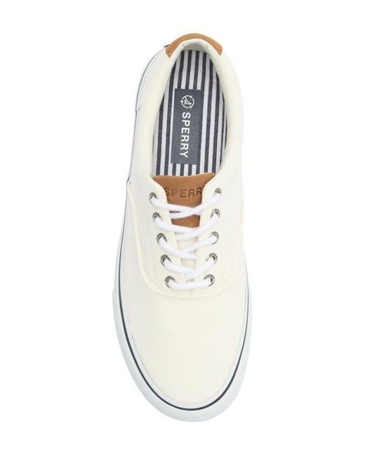 Sperry Top-Sider White Striper Ii Cvo Sneaker for men