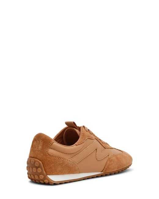 Steve Madden Brown Casper Sneaker