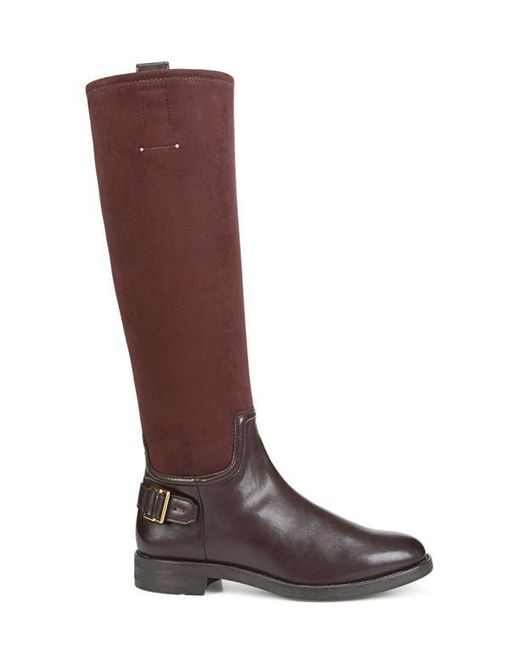 Franco Sarto Brown Merina Knee High Boot