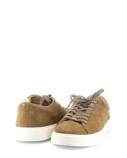 Ambitious Brown 13797 Low Top Sneaker for men