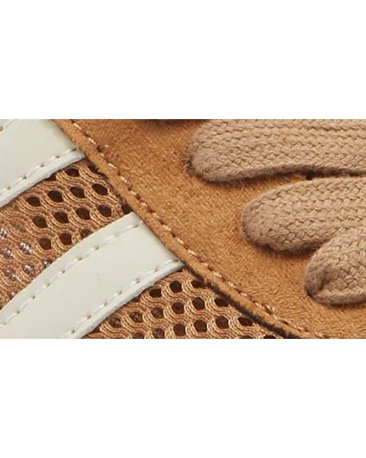 Steve Madden Brown Novva Mule