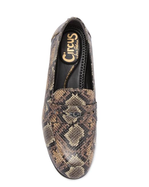 sam edelman penny loafers