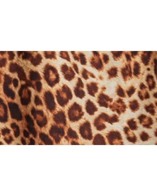 Bebe Brown Printed Satin Midi Dress