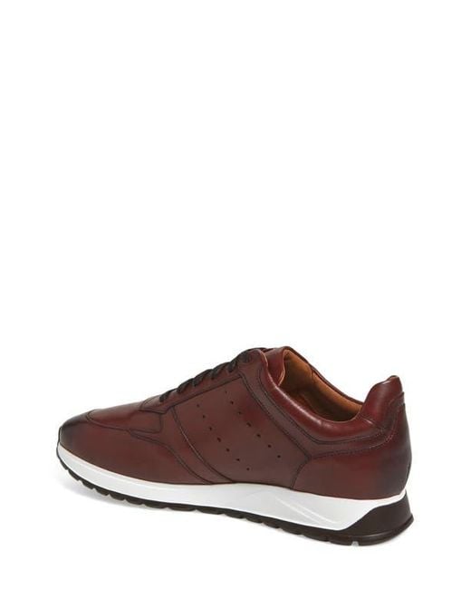 Allen Edmonds Brown Everett Slip-On Sneaker for men