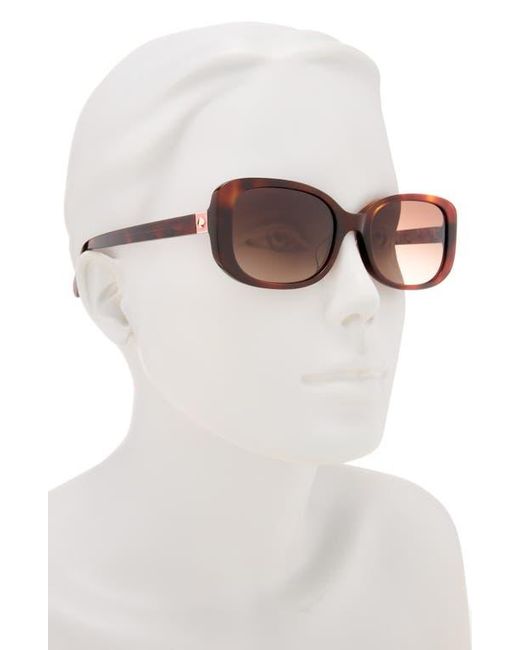 Kate Spade Brown Dionnas 52Mm Rectangular Sunglasses