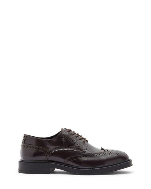Roberto Cavalli Brown Crip Wingtip Derby for men