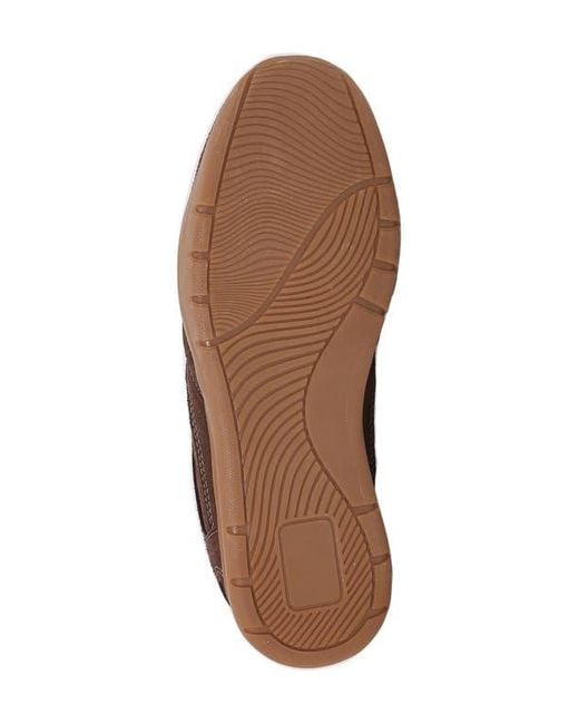 BERNESS Brown Low Top Sneaker