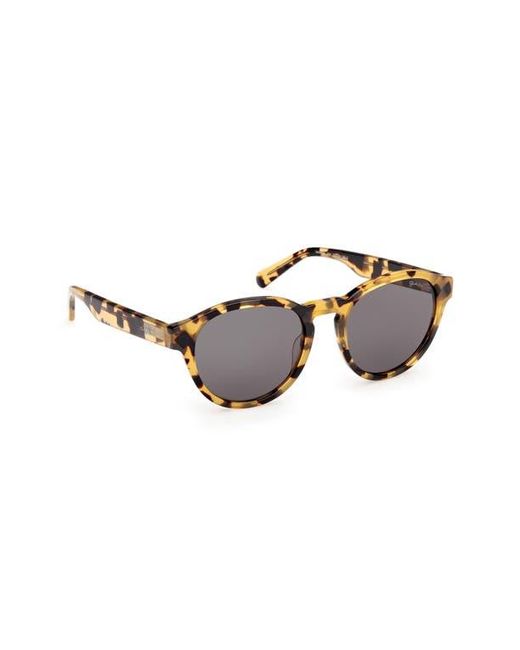 Gant Brown Round Sunglasses for men