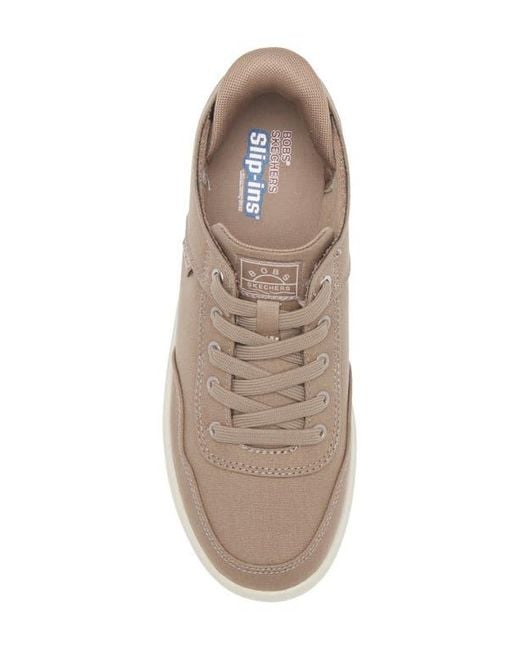 Skechers Brown Slip-Ins: Bobs D'Vine Sneaker