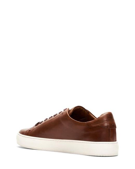 Frye Brown Astor Sneaker for men