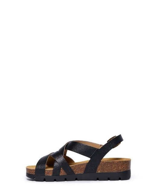 Plakton Multicolor Compass Sandal