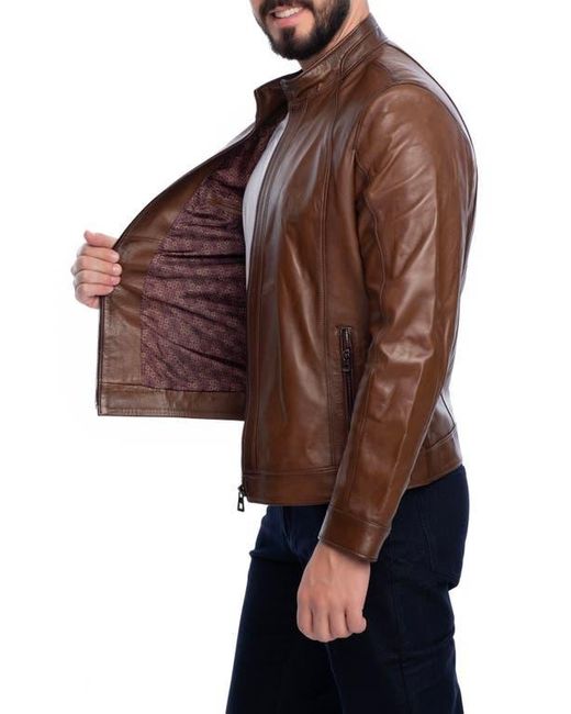 VELLAPAIS Brown Smooth Leather Jacket for men