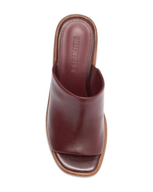 Steve Madden Brown Shanton Platform Slide Sandal