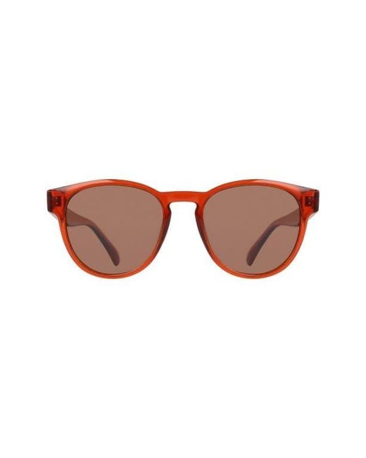Dragon Brown 53Mm Round Sunglasses