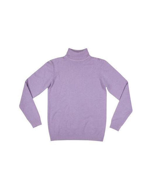Xray Jeans Purple Turtleneck Pullover Sweater for men