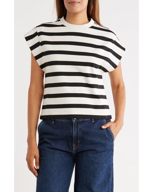 DR2 by Daniel Rainn Black Stripe Cap Sleeve Top