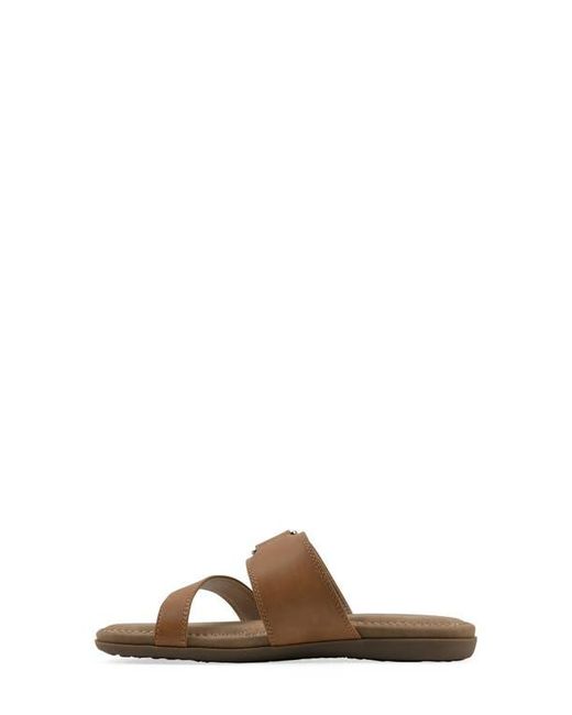 White Mountain Brown Fancify Toe Loop Sandal