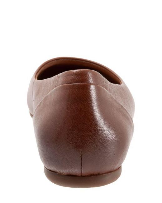 Softwalk® Brown Shiraz Flat