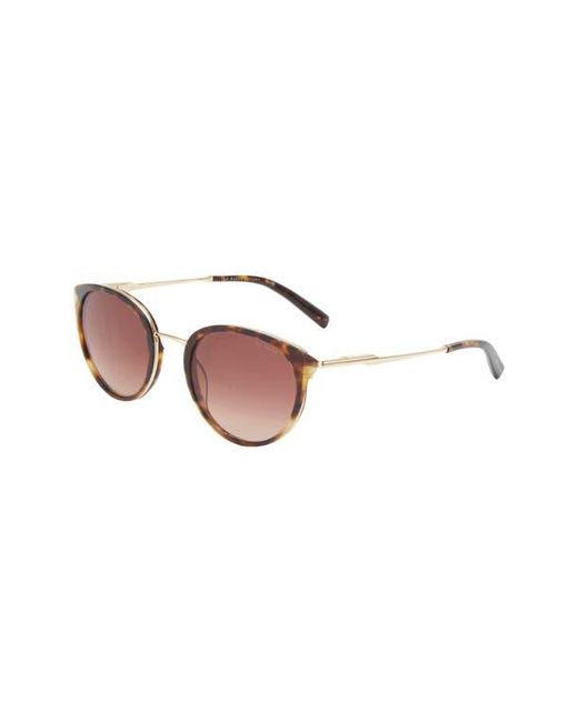 Ted Baker Brown 50Mm Gradient Round Sunglasses