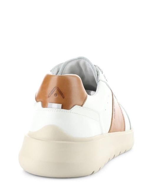 Ambitious White 12863 Low Top Sneaker for men