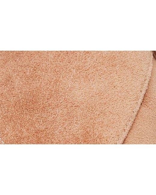Linea Paolo Brown Mylene Pointed Toe Flat
