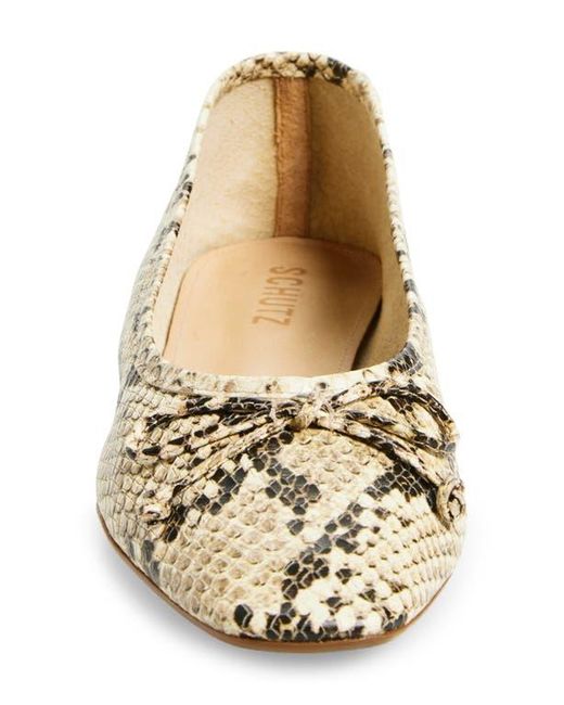 SCHUTZ SHOES Natural Arissa Snakeskin Embossed Ballet Flat