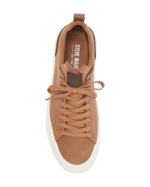 Steve Madden Brown Pyper Sneaker for men