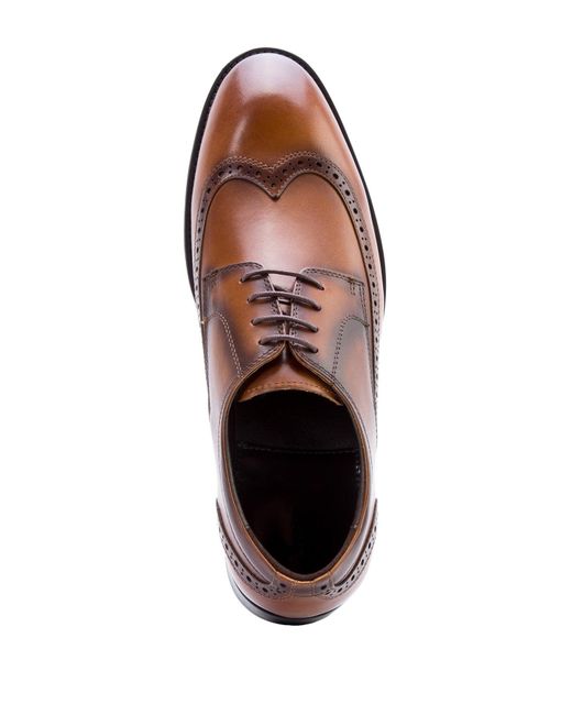 williams wingtip oxford