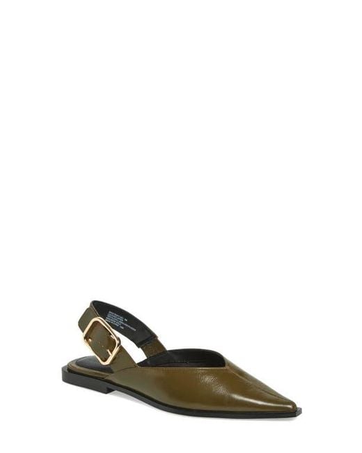 Steve Madden Multicolor Shay Pointed Toe Slingback Flat