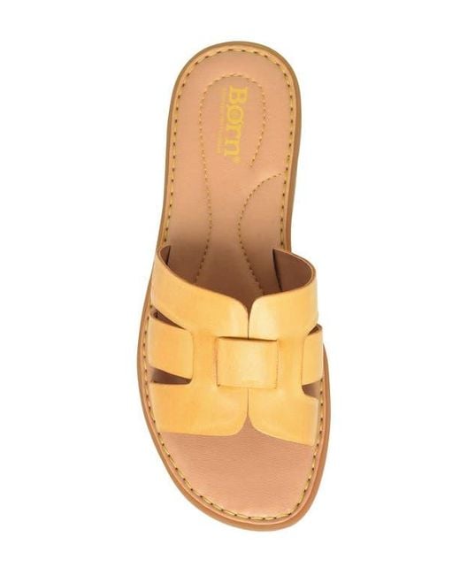 Børn Multicolor Mindi Slide Sandal