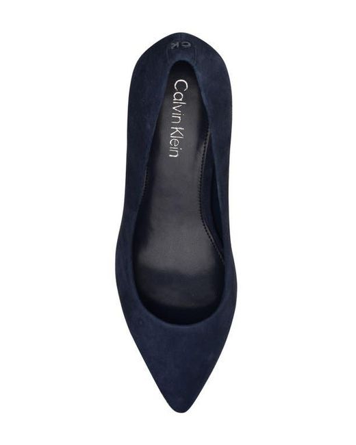 Calvin Klein Blue Lenott Pointed Toe Pump