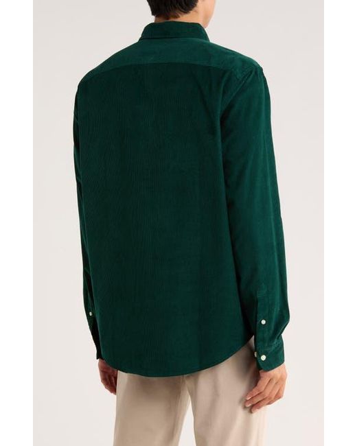 Original Penguin Green Solid Corduroy Button Down Shirt for men