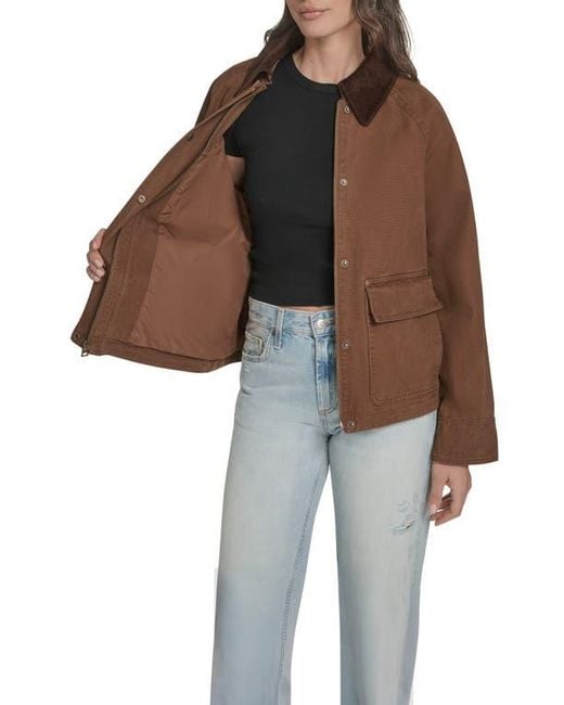Levi's Brown Shorty Barn Coat