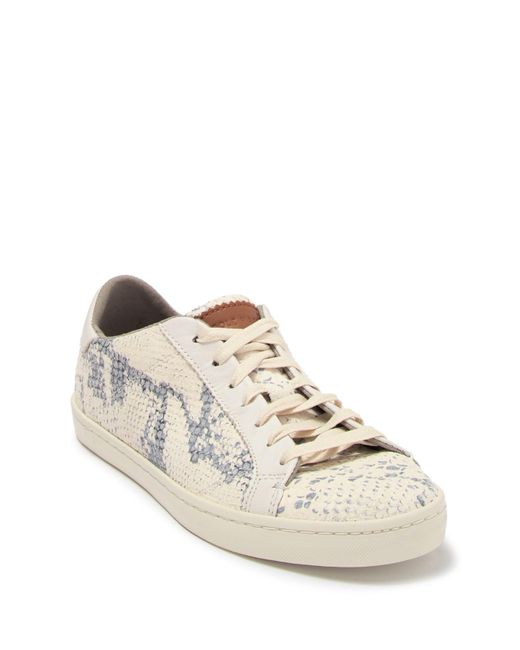 margo leather sneaker
