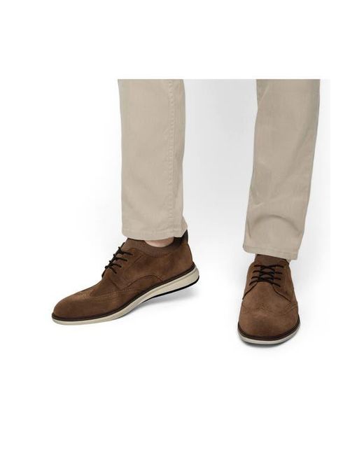 Ted Baker Brown Farrington Derby for men