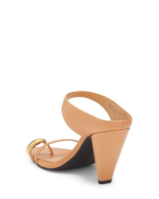 Rebecca Minkoff Brown Toe Ring Pointed Toe Slide Sandal
