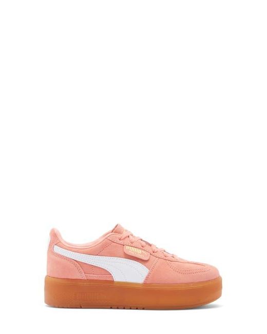 PUMA Pink Palermo Elevata Platform Sneaker