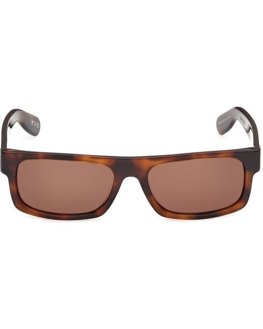 Adidas Brown Rectangular Sunglasses for men