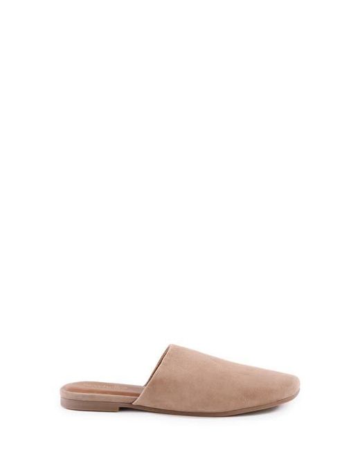 Seychelles Pink Bahama Mule