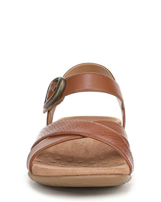 Vionic Brown Ramsey Sandal