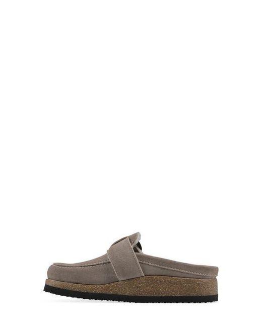 White Mountain Gray Bueno Mule