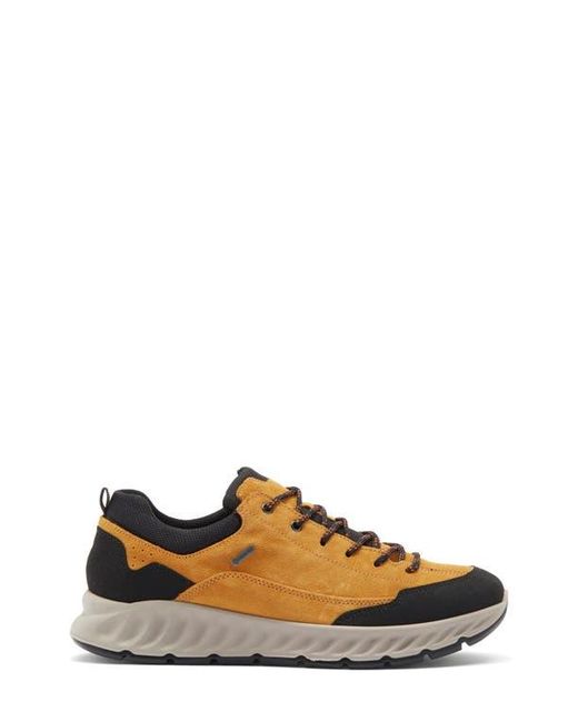 Ara Multicolor Petro Waterproof Sneaker for men
