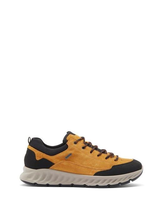 Ara Multicolor Petro Waterproof Sneaker for men