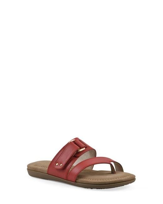 White Mountain Brown Fancify Toe Loop Sandal