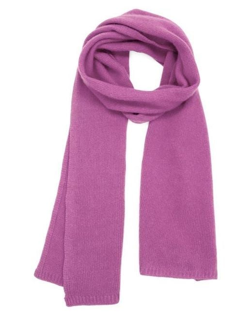 Portolano Purple Solid Cashmere Scarf