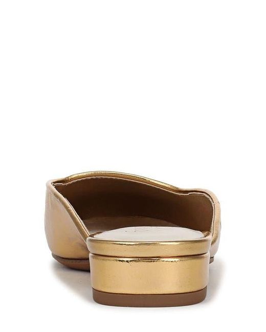 Franco Sarto Multicolor Dayla Mule
